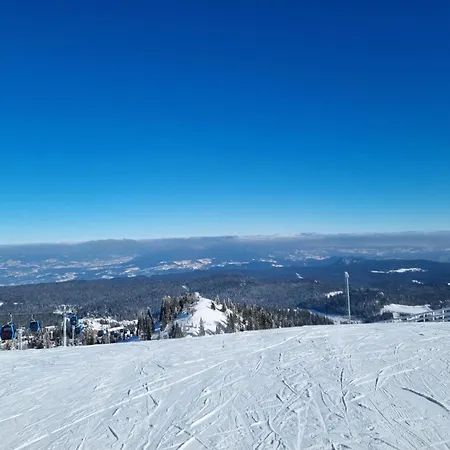 דירה Zlatni Javor - Trio *