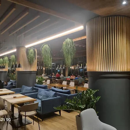 Zlatni Javor - Trio יהורינה